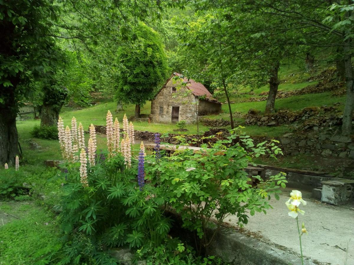 Casa Vacanze Le Muse Sillico Pieve Fosciana Exterior photo